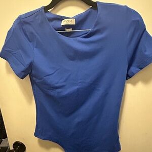 Aritzia Blue Fitted Short Sleeve T-Shirt